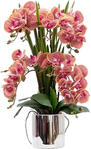 Vista 125 de CXGS Plantas artificiales de orquídeas artificiales de tacto real, orquídeas falsas en jarrón de cerámica de 20.9 pulgadas, orquídea falaenopsis