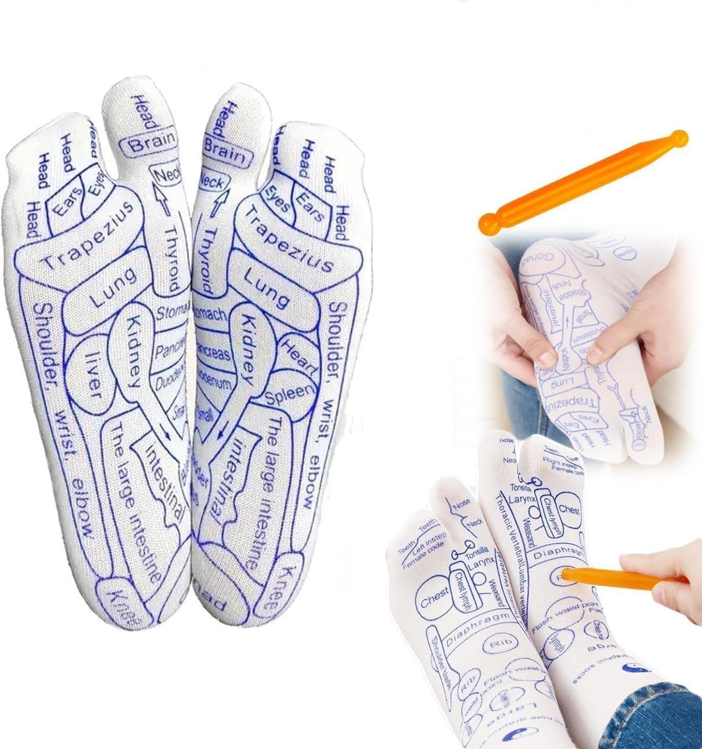 Finaxo Modern Acupressure Reflexology Socks With Massage Stick For Women And Men, Printed Reflexology Chart of Both Sole, Physiotherapy Socks With Massage Tools Foot Acupressure Point Socks (B0D7MNX959) Amazon Price History, Amazon Price Tracker