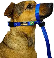 Coleira Cabresto Para Cachorro Com Guia Anti Puxão Adestramento Ajustável Com Trava (Azul, P)