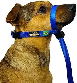 Coleira Cabresto Para Cachorro Com Guia Anti Puxão Adestramento Ajustável Com Trava (Azul, P)