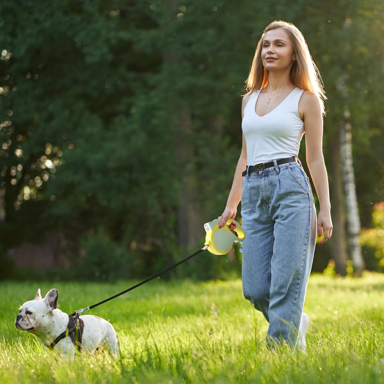 伸縮式犬用リード 3m 伸縮式犬用リード LEDライト付き 絡まり防止 ワンボタンロック&amp;リリース 小型犬・中型犬用散歩用リ