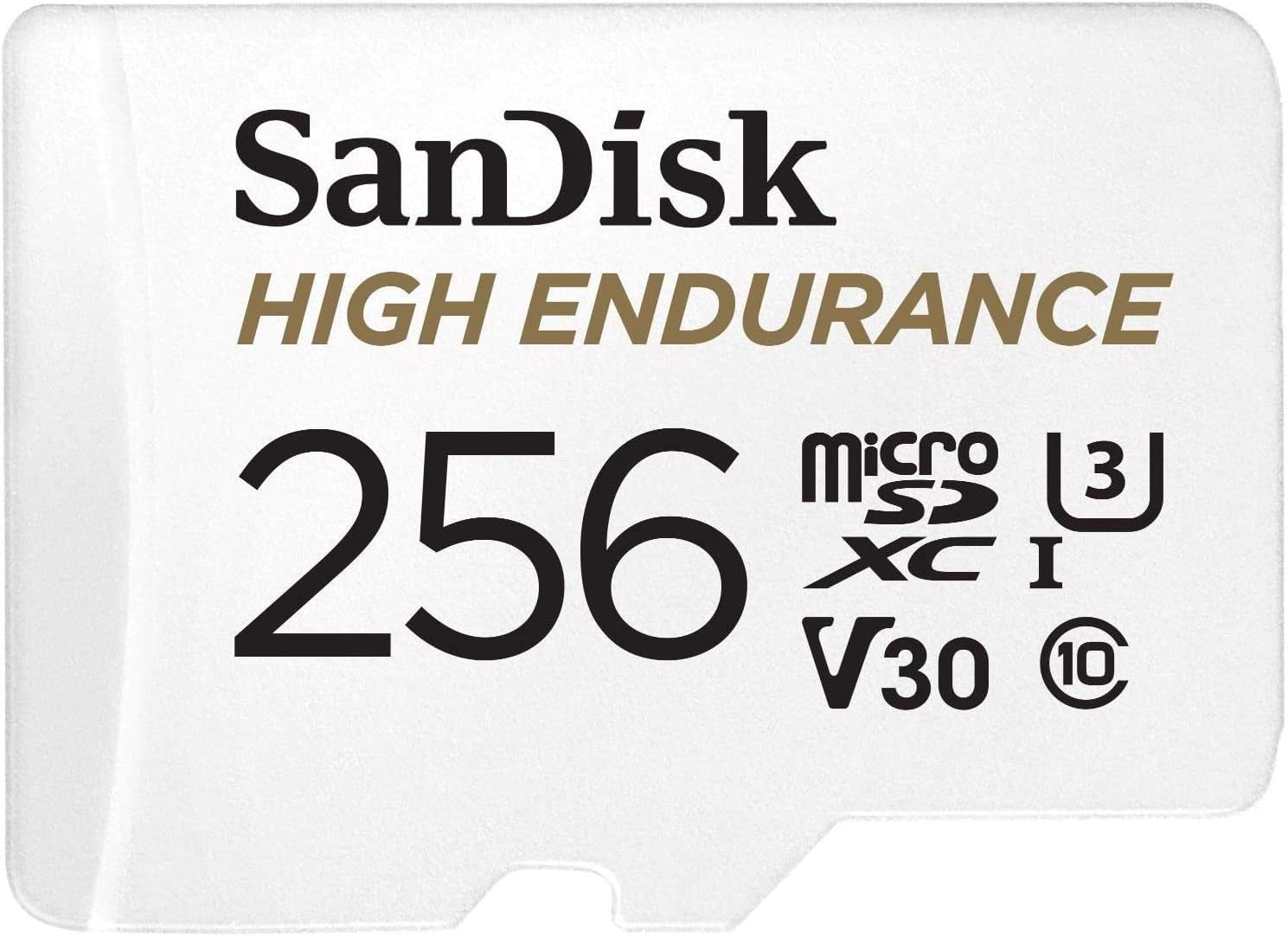 SanDisk High Endurance 256GB MicroSDXC Memory Card (2 Pack) for Dash Cams & Home Security System Video Cameras (SDSQQNR-256G-AN6IA) Class 10 Bundle with 1 Everything But Stromboli MicroSD Card Reader