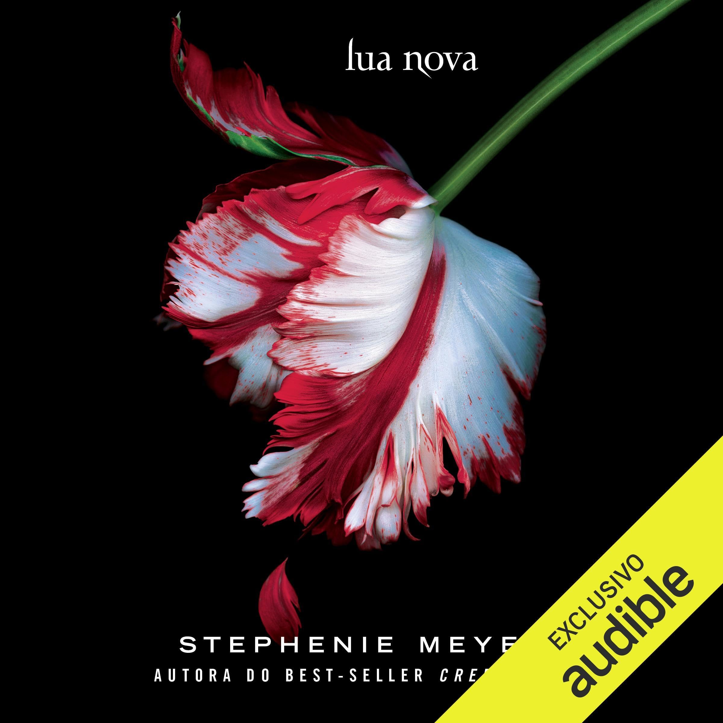 Cover art for Lua nova