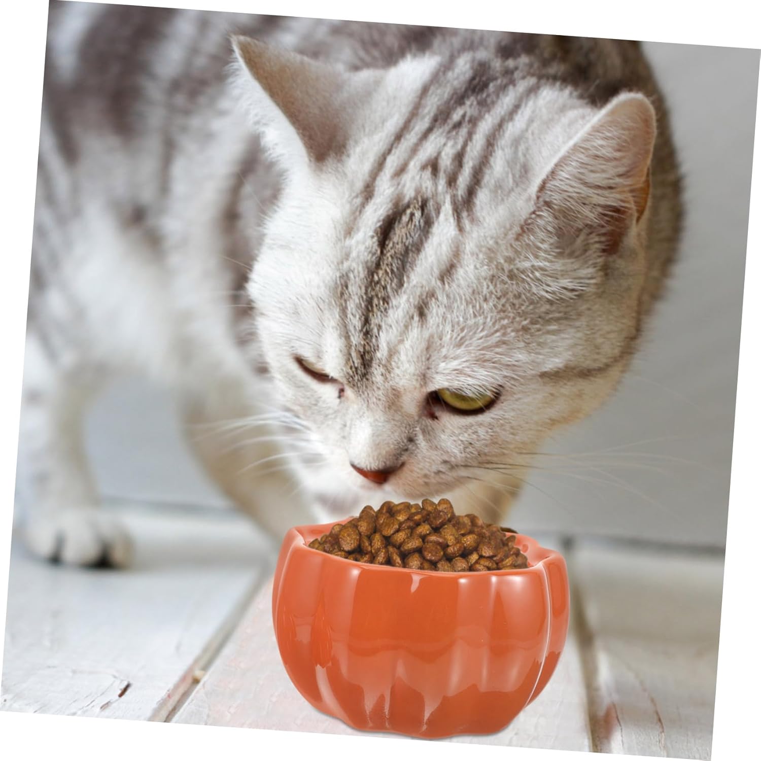 YARNOW Ceramic Pumpkin-Shaped Cat Bowl Puppy Food Feeder Elevated Design for Cats Pets Stable Prevents Food Spills Reusable Pet Supplies