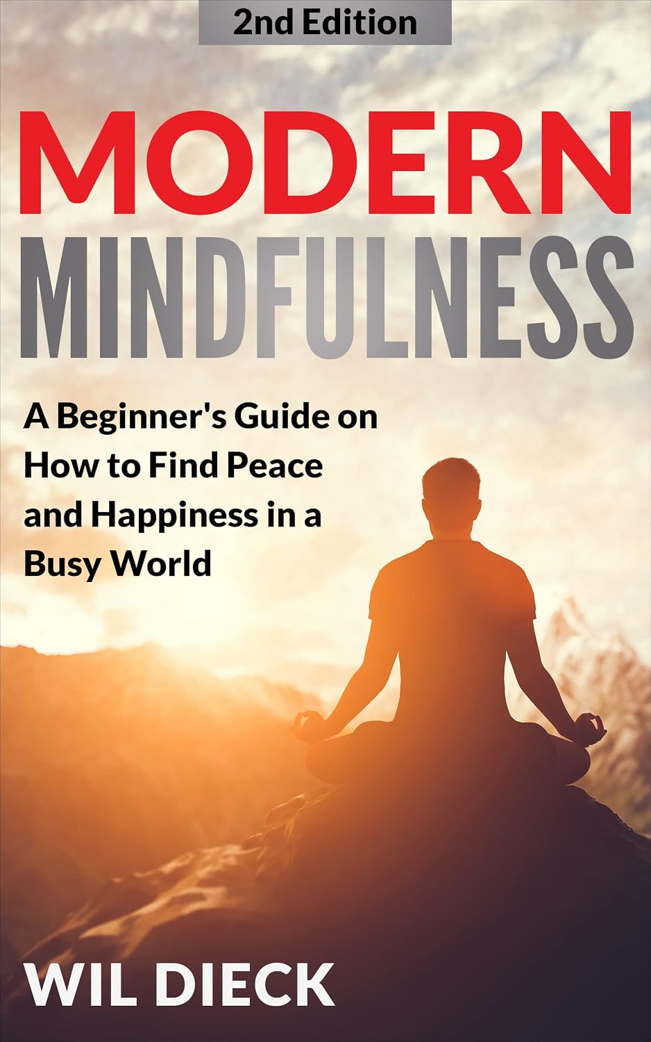 Modern Mindfulness: A Beginners Guide on How to Find Peace and Happiness in a Busy World (Mind Mastery Book 4)