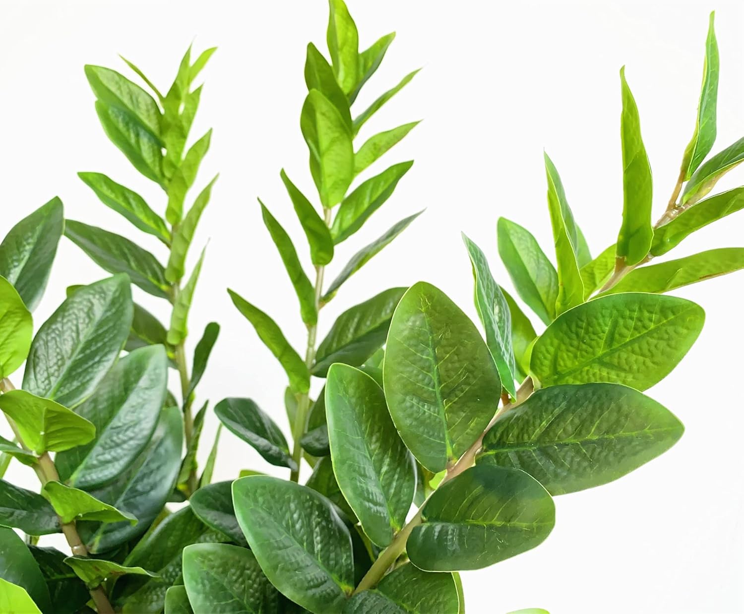 Pack of 10 - Artificial Plants Real Touch Faux ZZ Plant Stems Zamioculas Zamiifolia Tropical Greenery Houseplant for Home Office Aesthetic Decor Indoor and Outdoor (Green)