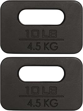 Yes4All Cast Iron Rucking Weight for Backpack, Training Weight Plate with Ergonomic Rounded Handle, Protective Glossy Finish for Weighted Walking, Hiking, Rucking, Resistance Workout