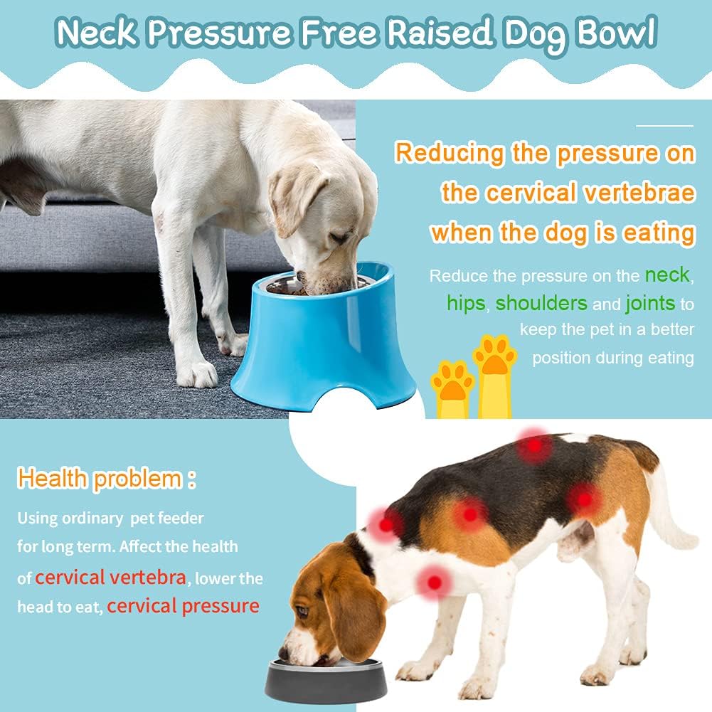 Kitchen & Dining : Super Design Elevated Dog Bowl Raised Dog Feeder for Food and Water, Non Spill Edges & Non Skid Sturdy Melamine Stand, Reduce Neck Stress, Less Regurgitating and Vomiting 2.5 Cup Blue : 