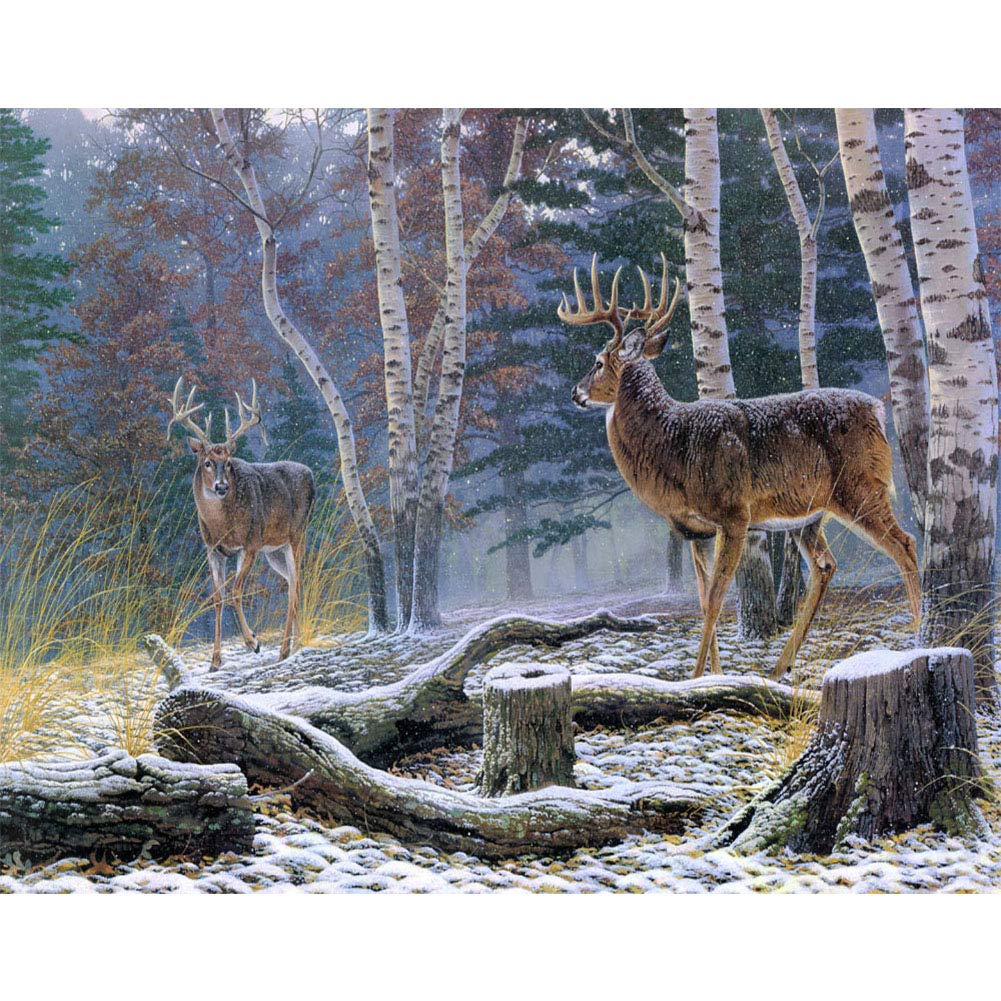 Kit fai da te per pittura a mosaico 5D con numeri e fiocco di neve, motivo invernale, 30 x 30 cm, pittura a diamante con strass a punto croce (fiocco di neve