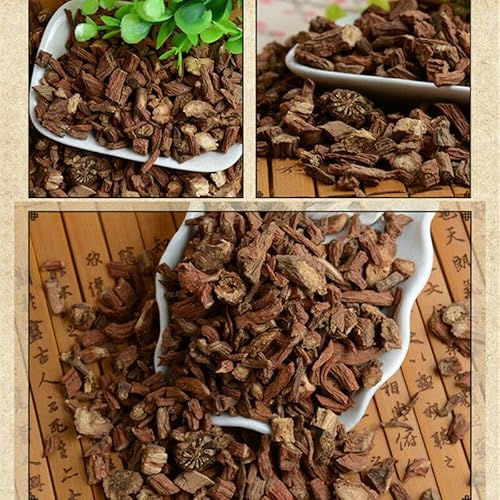 Tè a base di erbe cinesi, salvia rossa, ecologia