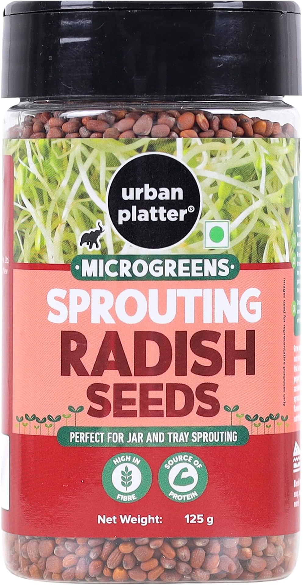 Urban Platter Microgreens Radish Sprouting Seeds Shaker Jar, 125g / 4.4oz [Nutritious Addition to Salads & Sandwiches]
