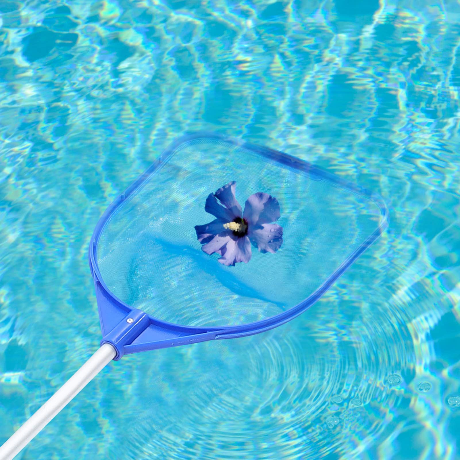 Happyyami 5piezas Limpieza De Piscina Mango Telescópico Recogehojas De y Estanques Material