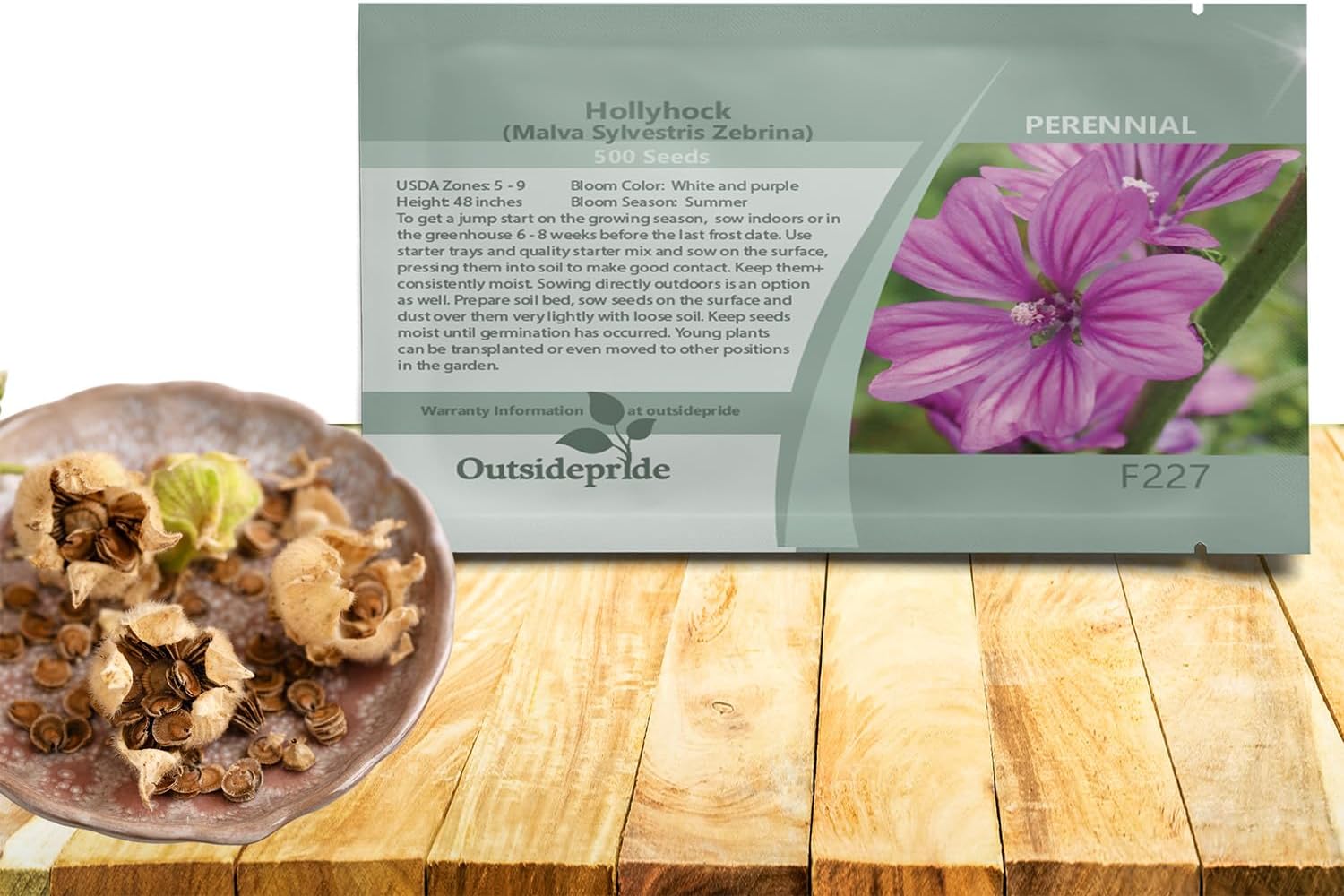 Purple French Hollyhock Zebrina Flower Seeds