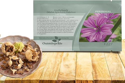 Outsidepride Zebrina French Hollyhock Seeds  1000 piezas de semillas perennes de color blanco y morado, semillas de flores tolerantes a la sequía de