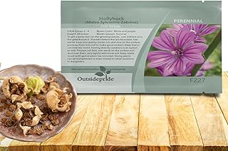 Outsidepride Zebrina French Hollyhock Seeds - 500 Pcs Perennial White & Purple Heirloom, Long-Blooming Drought Tolerant Flower Seeds with Semi-Double Blooms for Cottage Gardens & Cut Flowers