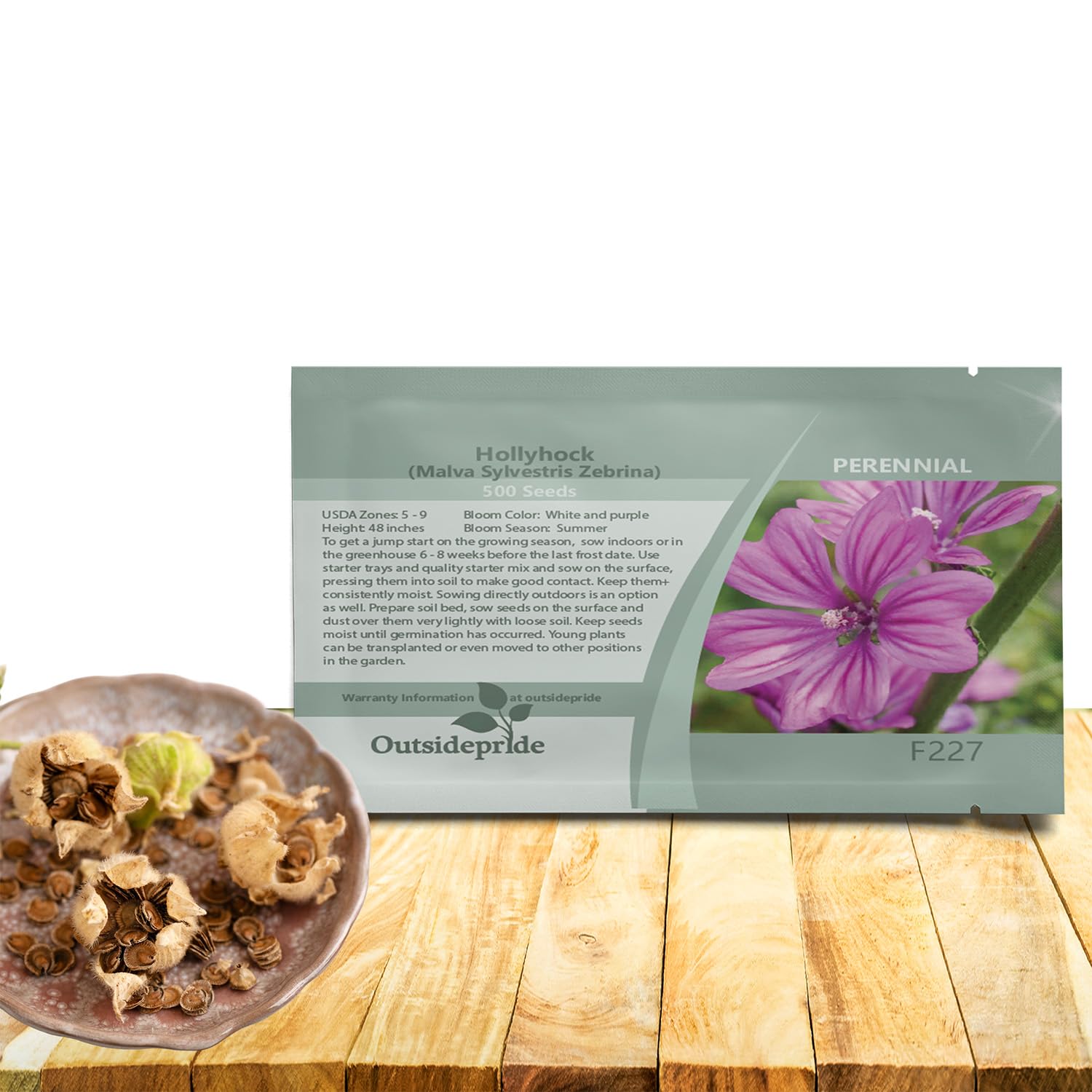 Outsidepride Zebrina French Hollyhock Seeds - 500 Pcs Perennial White & Purple Heirloom, Long-Blooming Drought Tolerant Flower Seeds with Semi-Double Blooms for Cottage Gardens & Cut Flowers