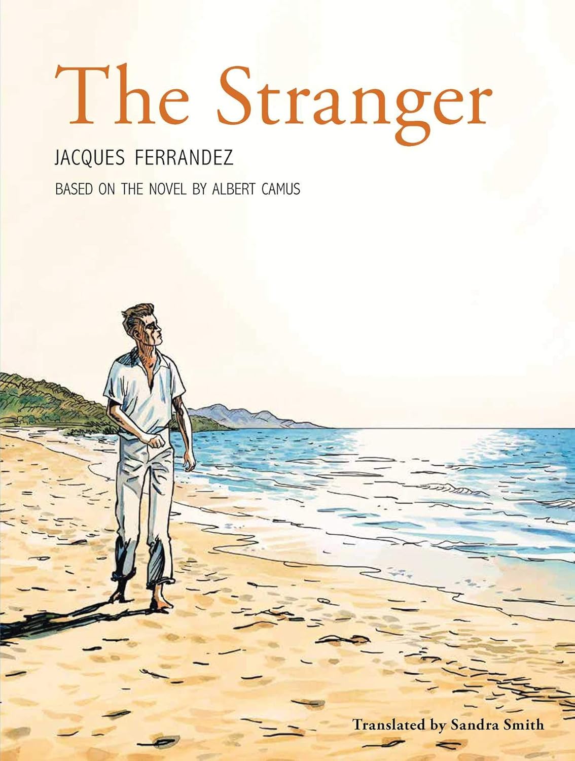 THE STRANGER NOVEL BY ALBERT CAMUS visual data 6