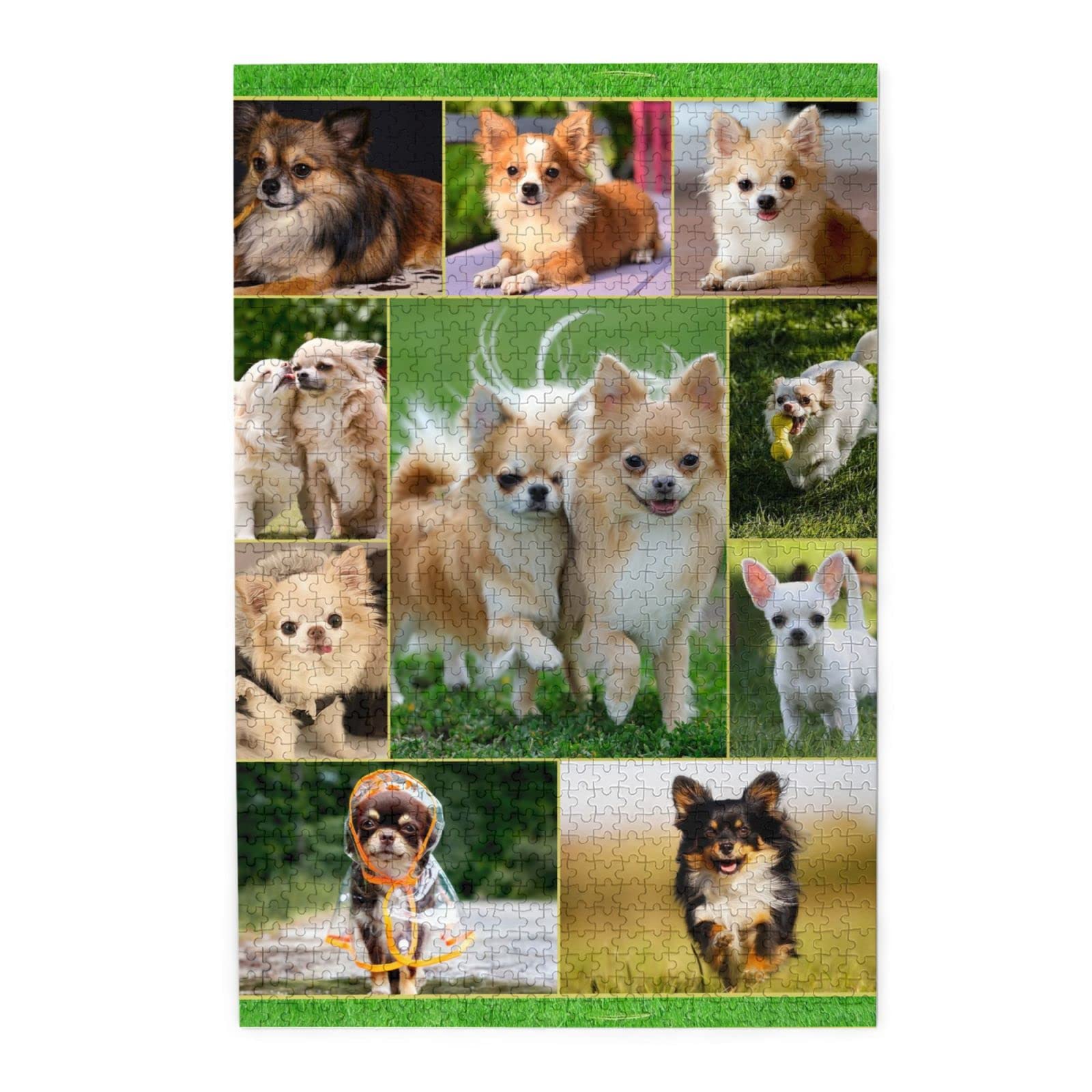 Amazon.co.jp: ジグソーパズル 1000ピース かわいい チワワ 犬柄 子犬 