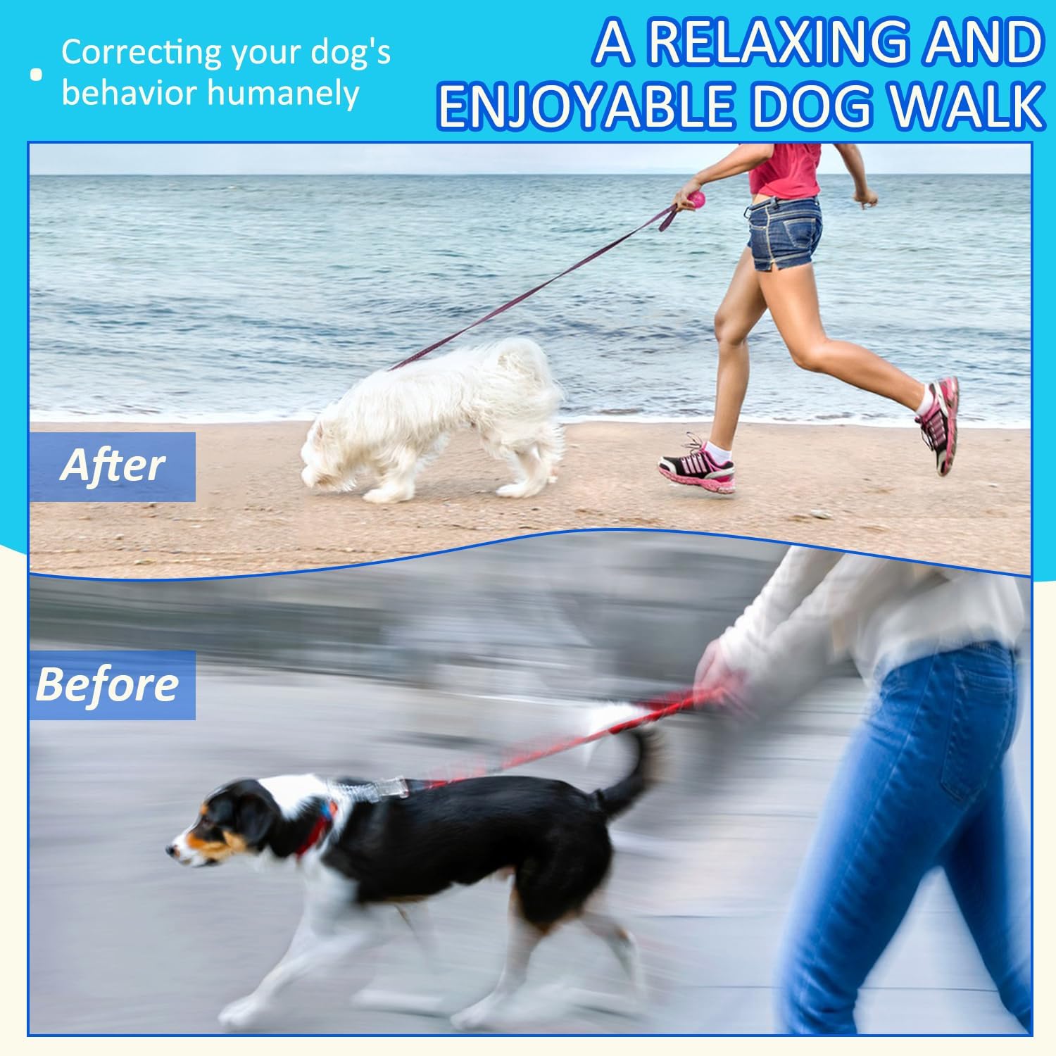 Anti-Tangle Collar, Stainless Steel Dog Collar with Quick-Release Buckle, Adjustable for Small, Medium and Large Dogs (L-3.5mm)