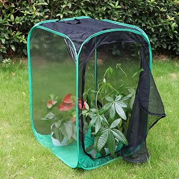 RESTCLOUD 36 Large Monarch Butterfly Habitat, Giant Collapsible Insect Mesh Cage Terrarium Pop-up 24 x 24 x 36 Inches