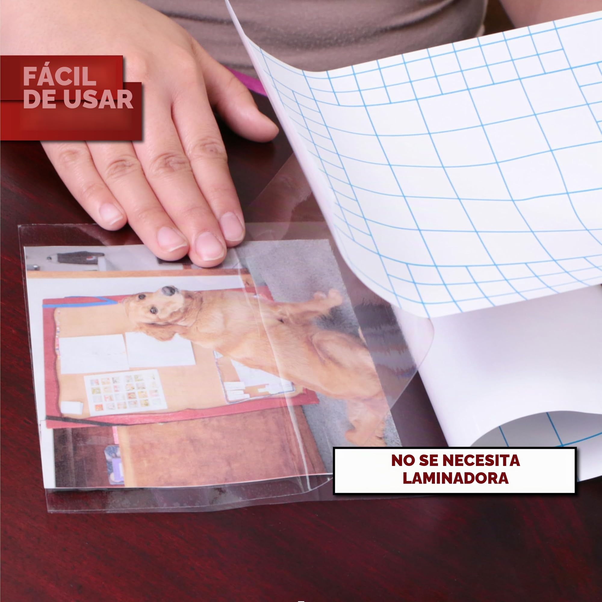 XFasten Láminas de Plastificar Autoadhesivas, 9 x 12 Pulgadas (Paquete de 50), 4.76 de Espesor