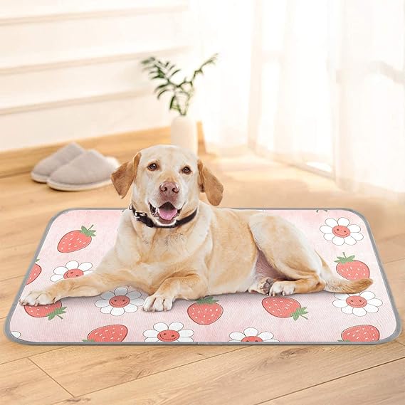 Review Cooling Mat for Dogs Cats Retro Daisy Cartoons Strawberry 22 x 28 Inch Summer Pet Bed Washable Sleeping Mats for Sofa Floor Outdoor