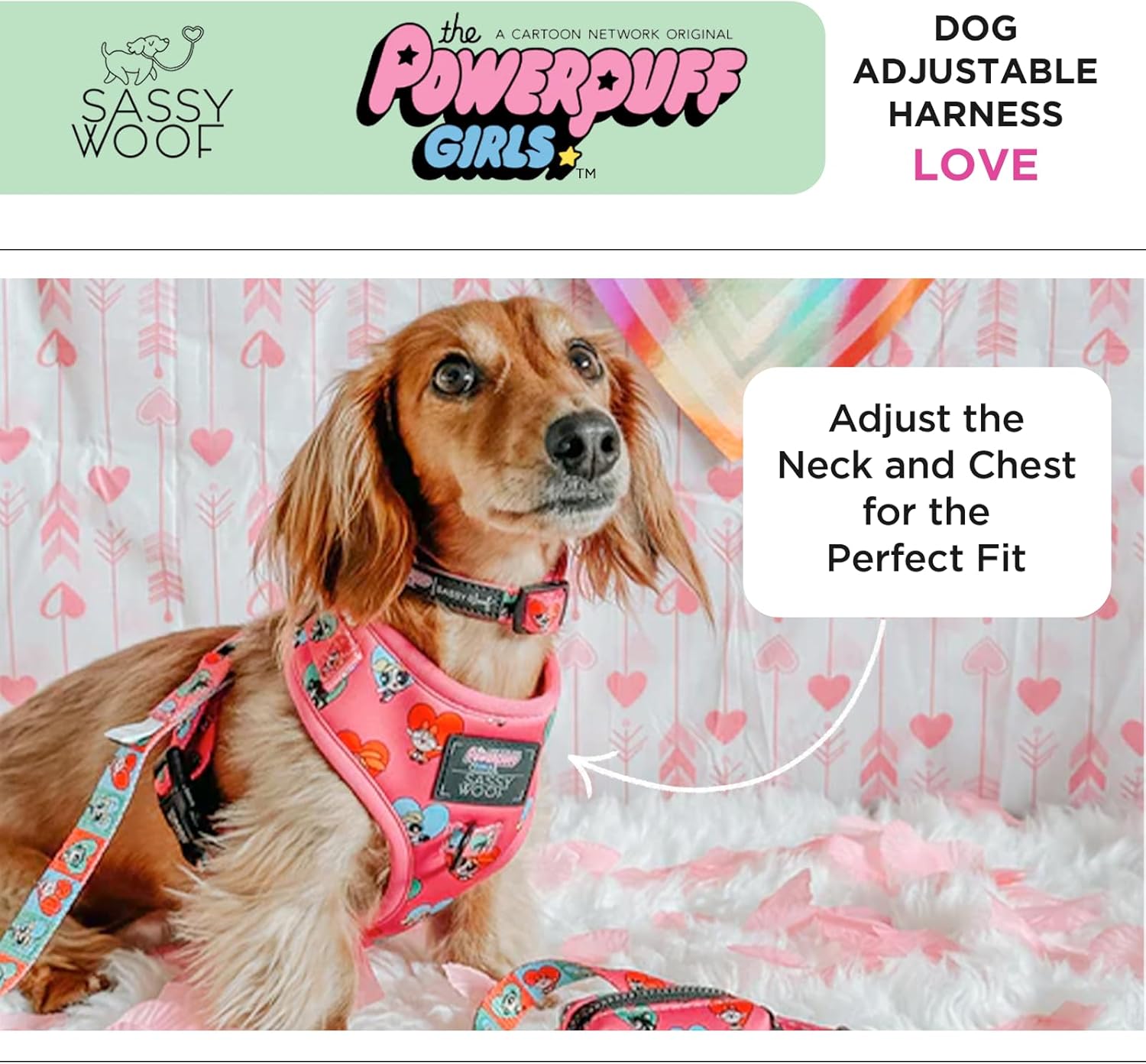 Sassy Woof Dog 調節可能ハーネス - パワーパフガールズ (愛) - S、通気性メッシュ、2つのDリング付き引っ張りな