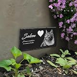 Ver la foto 5