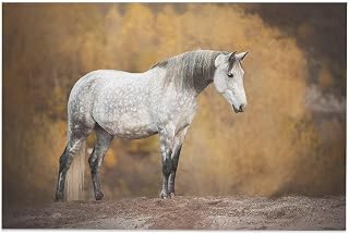 Camargue White Horse Room Aesthetics Posters Canvas Posters Bedroom Decoration Sports Office Decoration Gifts Wall Art Decoration Printing Posters 20x30inch(50x75cm)