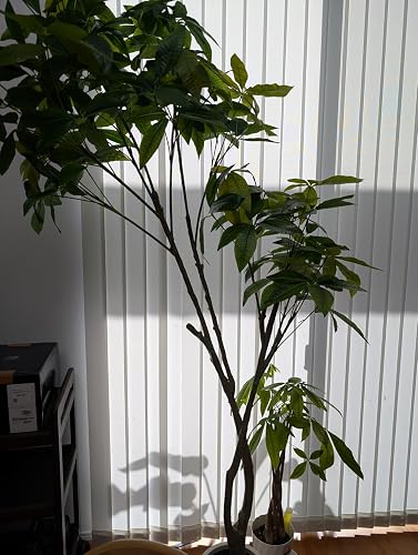 Amazon｜三栄コーポレーション 人工観葉植物 光触媒 フェイクグリーン