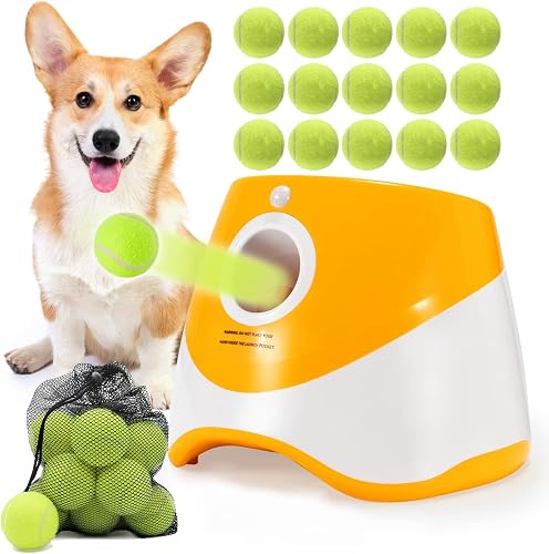 SOCO SC-LPQQ dog activity