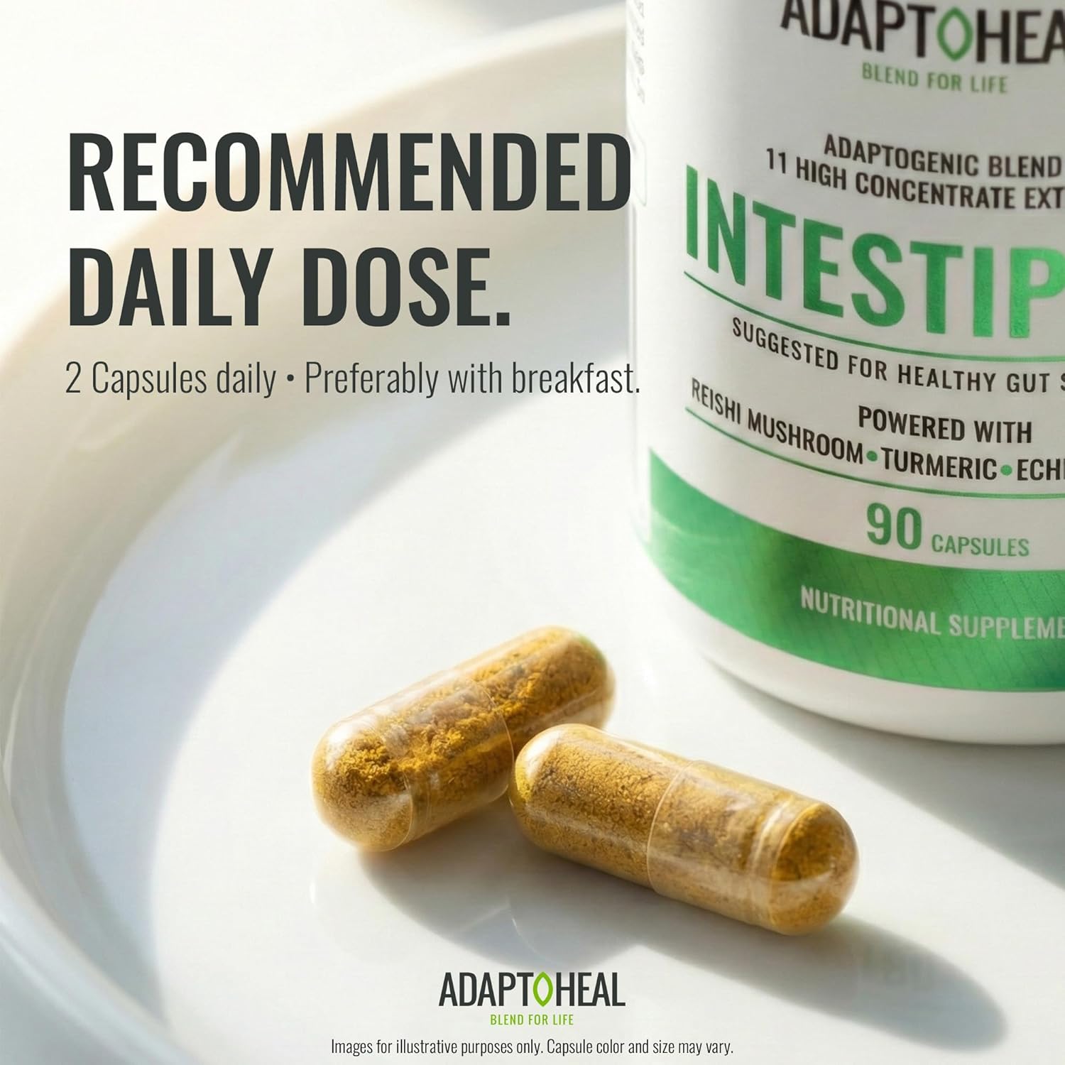 ADAPTOHEAL Intestiplus - Adaptogenic Supplement Formulated to Care for The Intestinal mucosa, Microbiota Balance and Daily Digestion with Reishi Mushroom, Turmeric, Echinacea and Ginger (90 Capsules)