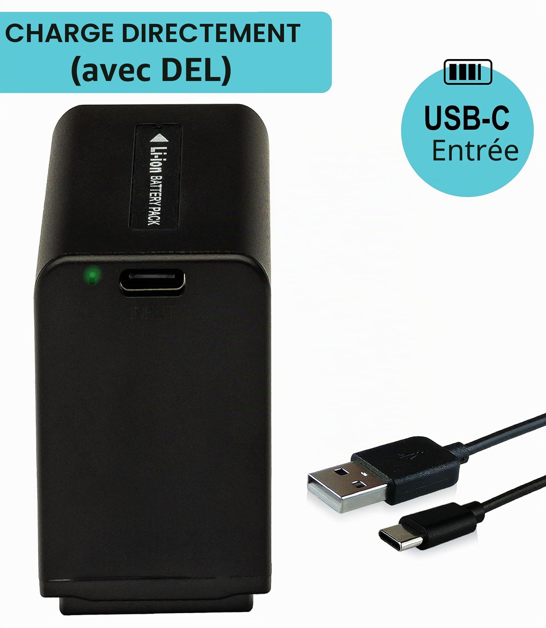 PATONA USB-C Platinum Batterie pour Sony NP-FV100A NP FV100 FV90 3090mAh