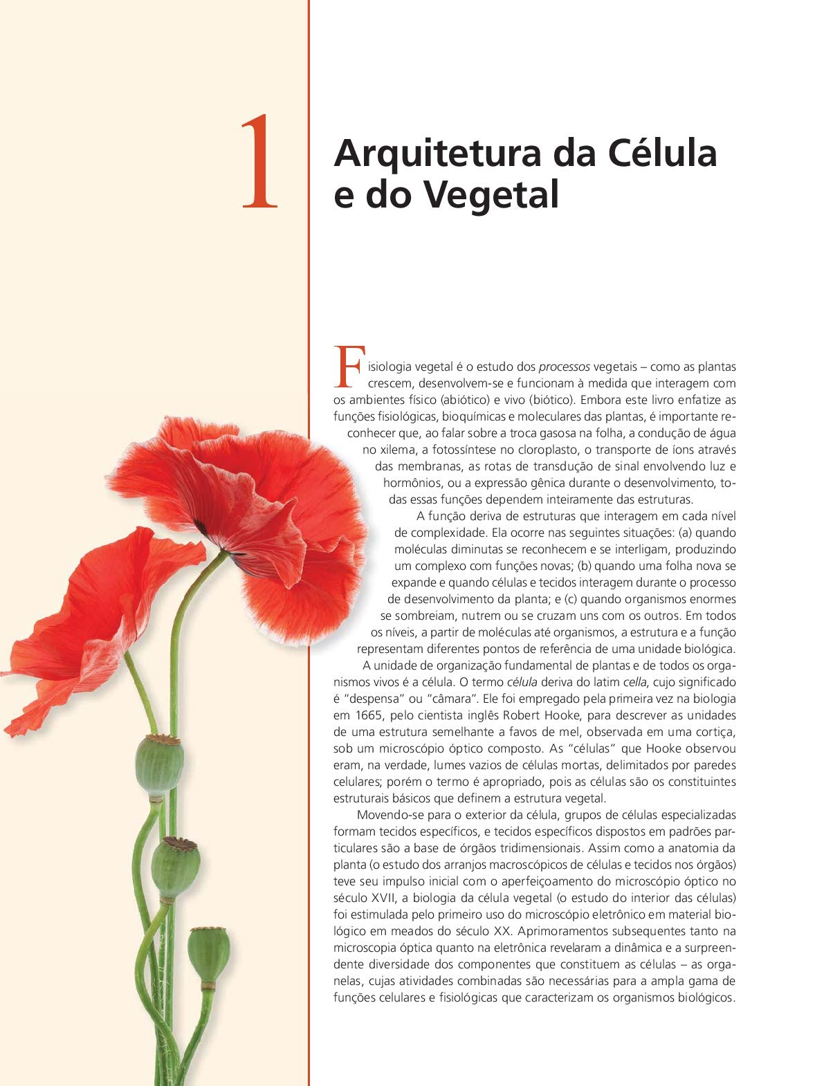 Fisiologia e Desenvolvimento Vegetal