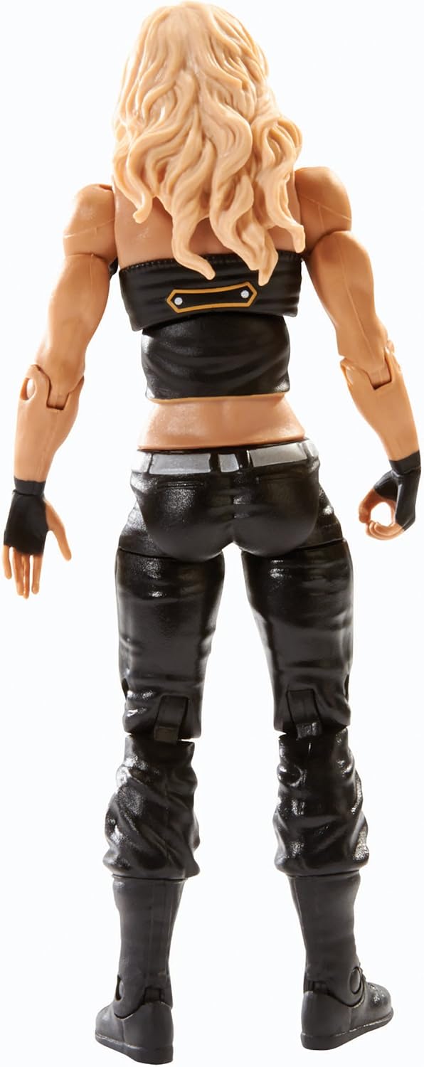 WWE Series 36 Superstar #12 Kaitlyn Action Figure