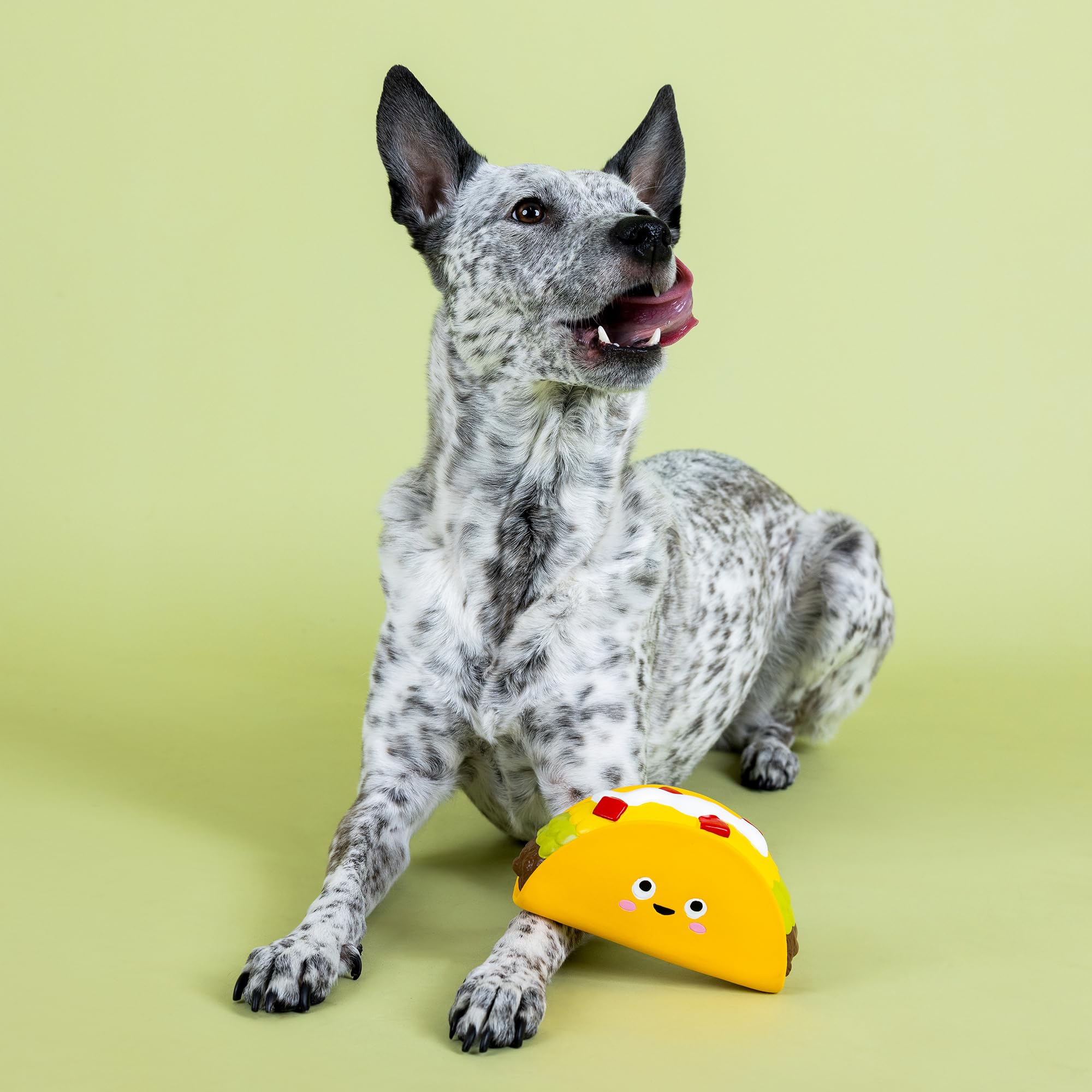 Fringe Studio WHATCHU Taco 'Bout Lateksowa zabawka dla psa, kolekcja Pet Shop (366020)