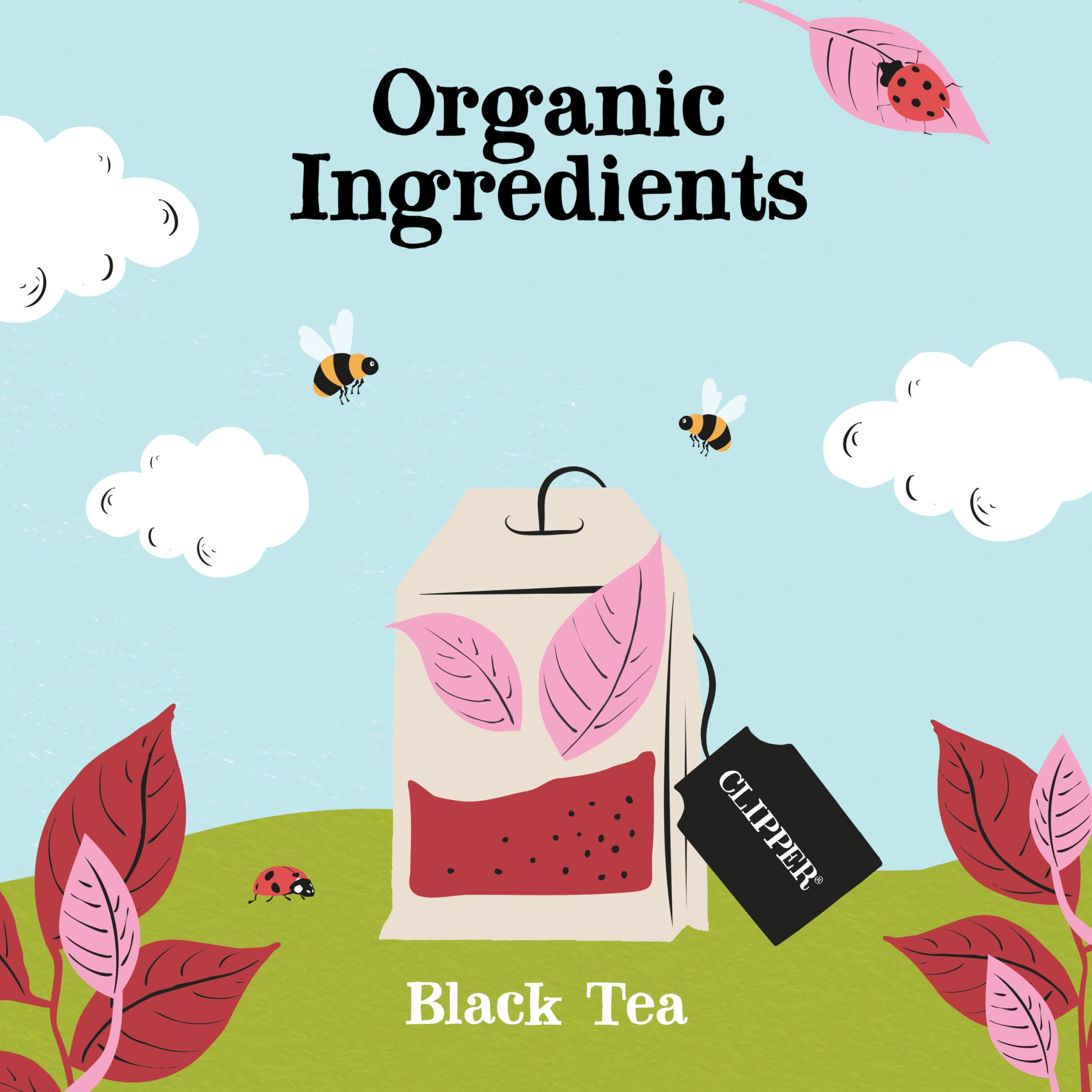 Clipper Organic Speciality English Breakfast 250 sachets de thé