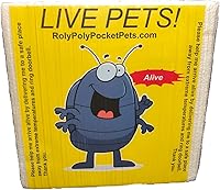 Vista 5 de HippoPolyus vivos (insectos vivos) Para llevar en el bolsillo como mascota (en una caja apta)