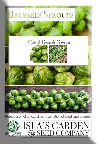 Miniatura 6 de Catskill - Semillas de coles de Bruselas para plantar, más de 300 semillas tradicionales por paquete, semillas de jardín de Isla (semillas de jardín