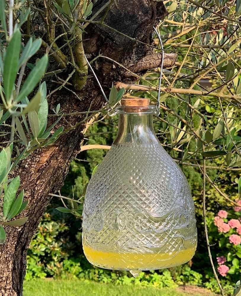 Esschert Design EG21 Wasp Trap Clear Hobnail Glass, Large, 8.75" H