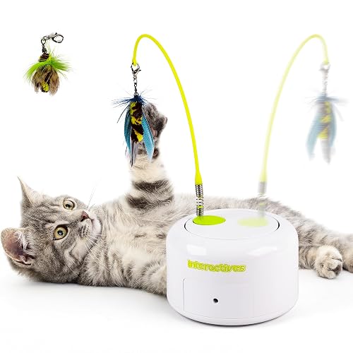 ALL FOR PAWS Interactive Cat Toy, Automatic Fluttering Bug Enrichment