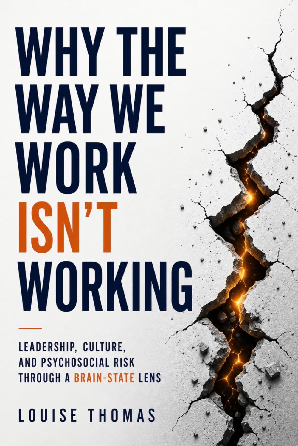 Why the Way We Work Isn’t Working: Leadership, Culture, and Psychosocial Risk Through a Brain-State Lens