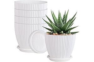 5-Pack 6-Inch Flower Pots: The Perfect Home for Your Plants