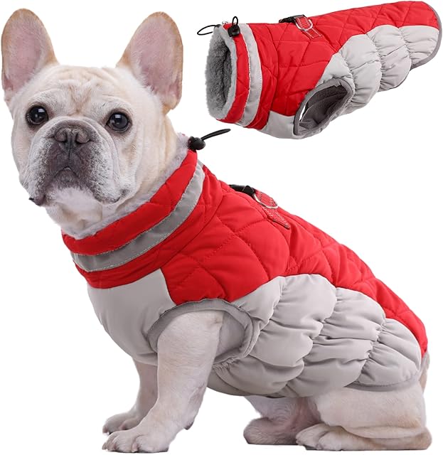 Kuoser Dog Winter Coat Waterproof Cold Weather Warm Jacket for Small Medium Large Dogs Cozy Fleece Lined Puppy Winter Vest with Fur Collar Reflective Zip Up Pet Apparel Outdoor Clothes, Red