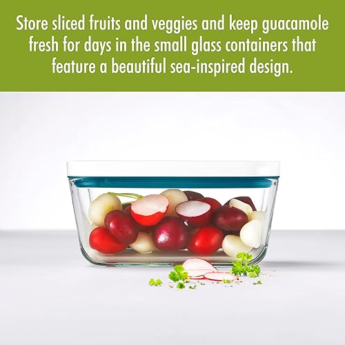 Vista 66 de Máquina de cierre al vacío ZWILLING