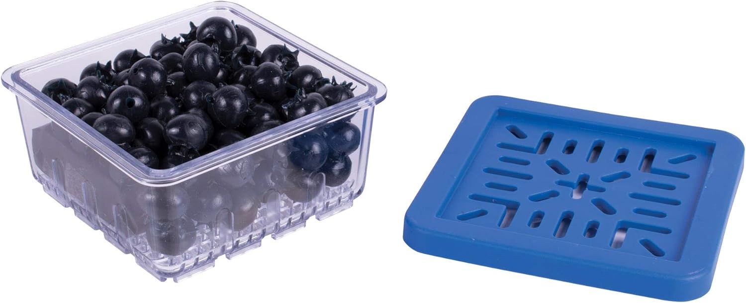 HIC Kitchen BerryFresh Half Pint Produce Box, Blue