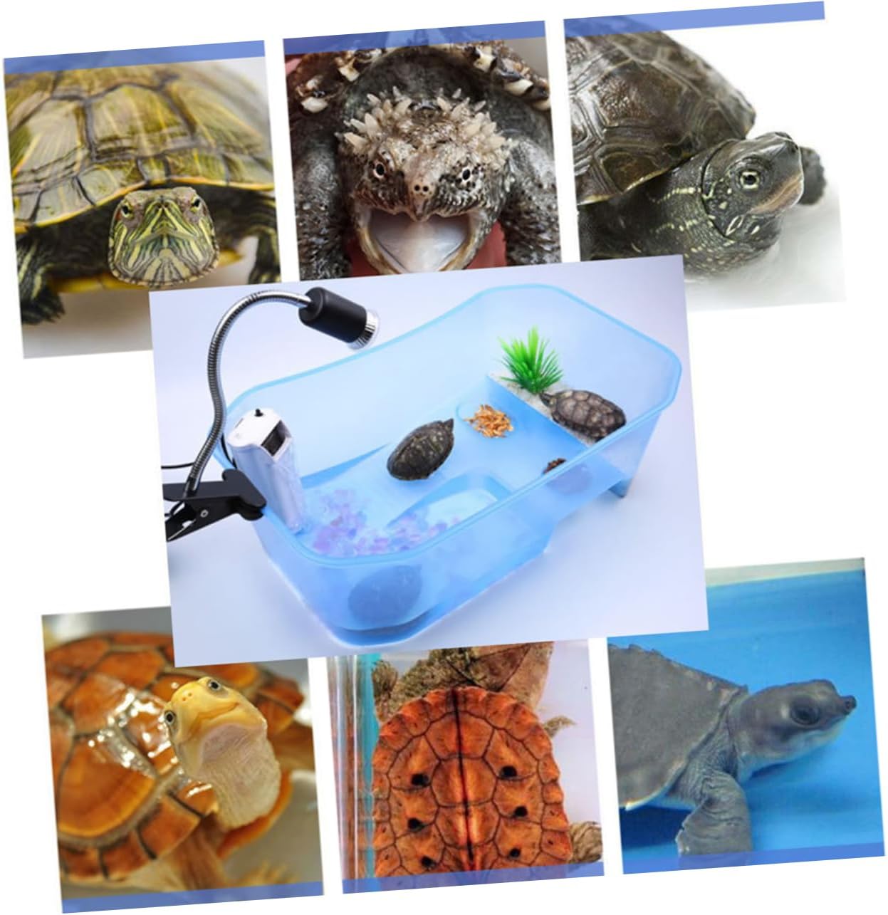 POPETPOP Turtle Tank Reptile Habitat Reptile Aquarium Tank Turtle Feeding Box Basking Platform