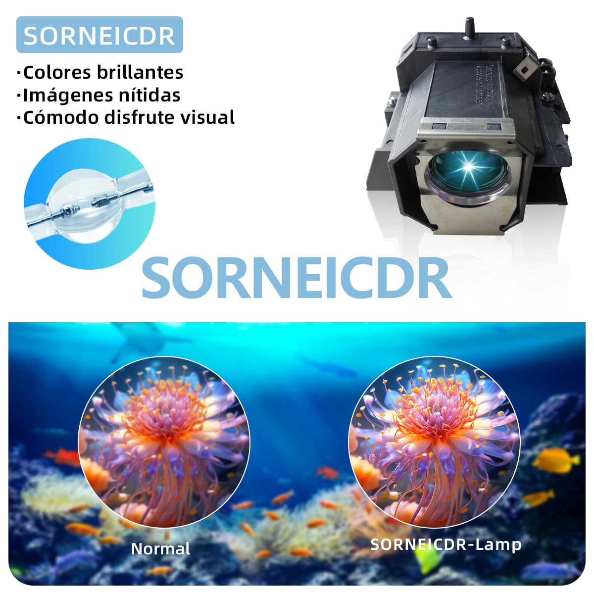 Lampada Proiettore Per Epson ELPLP39/V13H010L39 EMP-TW1000 EMP-TW2000 EMP-TW700 EMP-TW980 HOME CINEMA 1080 powerlite HC 1080UB Videoproiettore