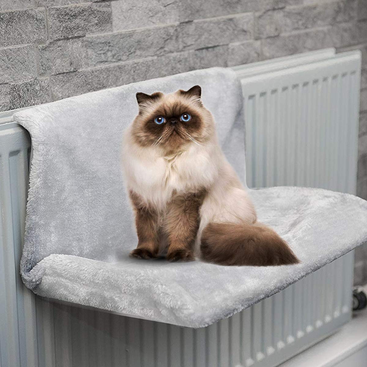 PETCUTE Chat Radiateur Chaud Lit radiateur pour Chat Lit De Radiateur pour Animaux De Compagnie Polaire avec Cadre en Métal Fort Supporte jusqu'à 7.5 kg