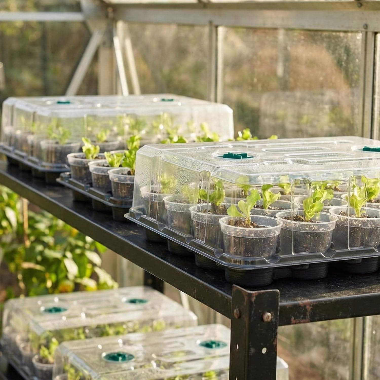 homenote 3 Inch Seed Starting Trays with Humidity Domes for Plants, 4 Pack 20-Cell Seedling Starter Trays, Plant Starter Germination Trays for Pots Seedlings for Indoor Outdoor, Fits 3" Nursery Pots